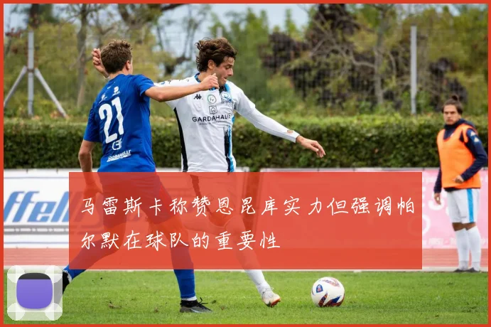 马雷斯卡称赞恩昆库实力但强调帕尔默在球队的重要性