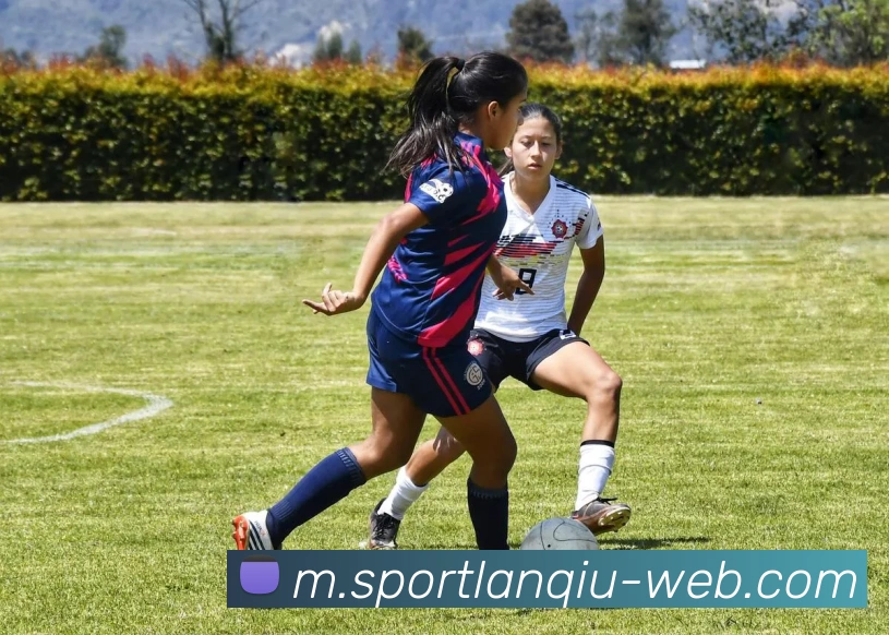 篮球赌注APP 封面图